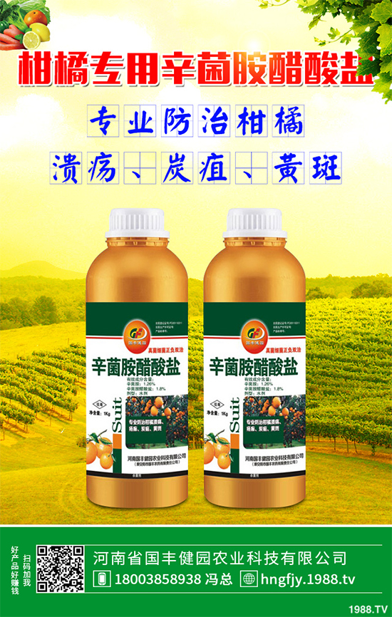     �}�������