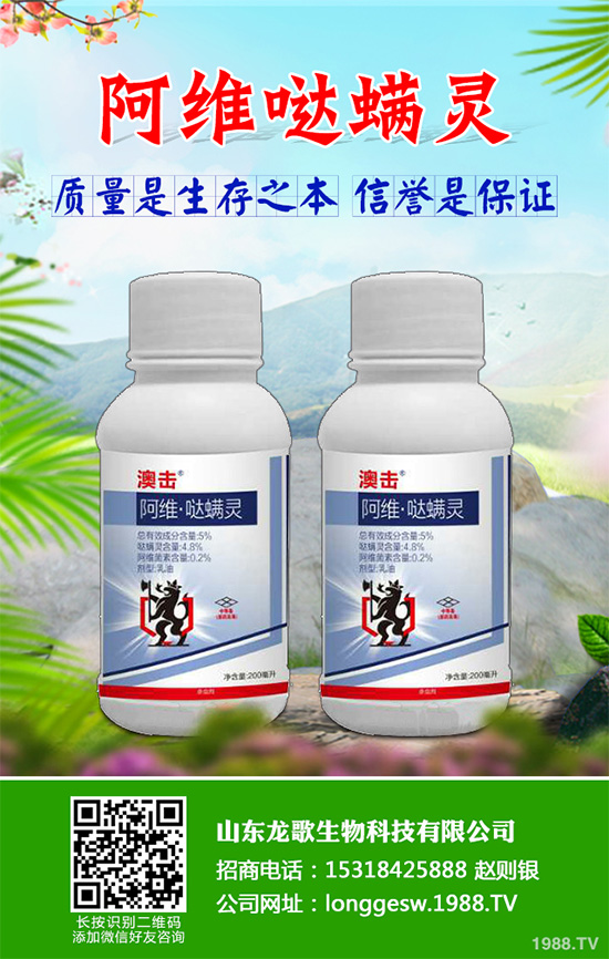 �󶹚��x(ch��ng)���r(ji��)��