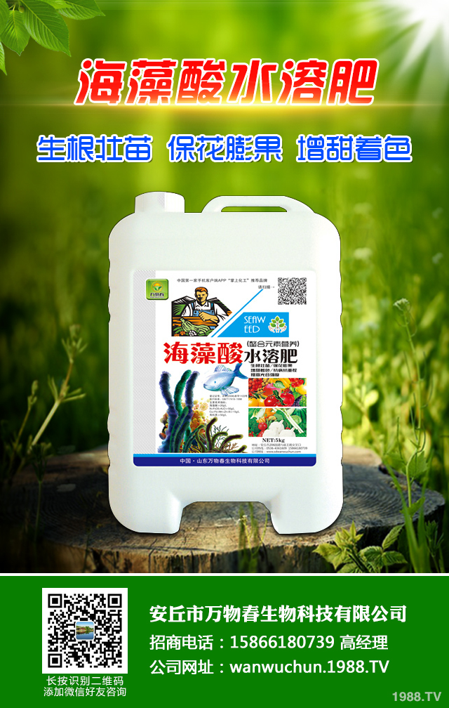 �ﲥС����ô����|(zh��)�����ﲥС������|(zh��)����Ҫ�c(di��n)