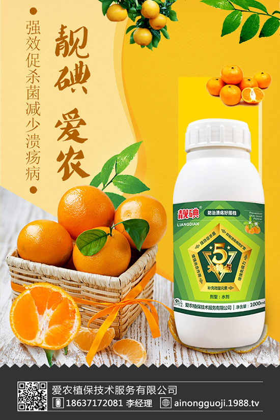 ���m����ηNֲ�����m���Nֲ�r�g��������