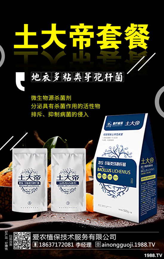 ���·ݿ��ԷNʲô�߲���2019��9���߲˷Nֲָ��!