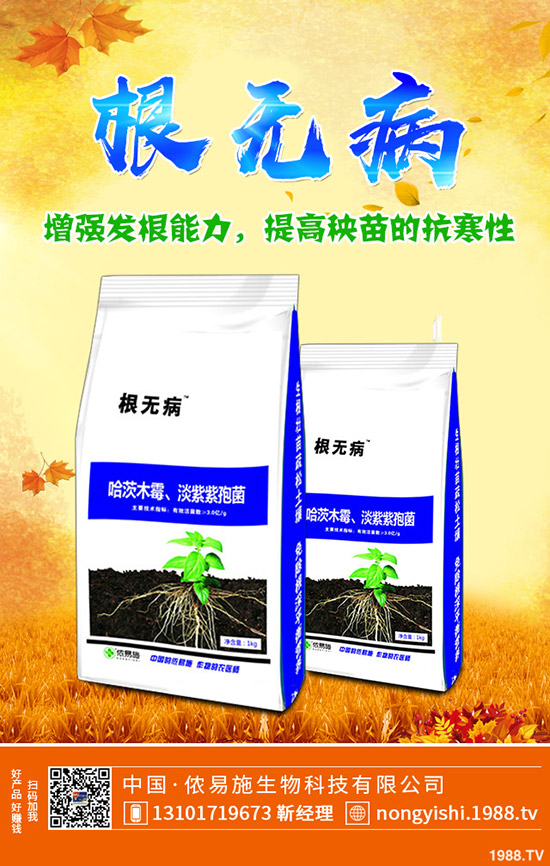     ���c��(ji��)ǰһ�@��؛������������һ�@�����߄��A�y2019-9-30