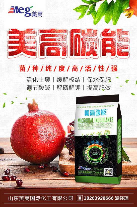     �＾��ͥ�(y��ng)�_(t��i)�Nֲʲô�߲˺����ﶬ�(y��ng)�_(t��i)�N�˵ķ�����