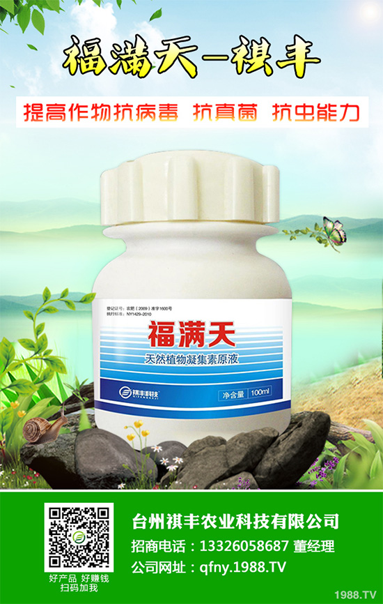 ���n������Щ��̎����Ҋ�n�ĵ�����