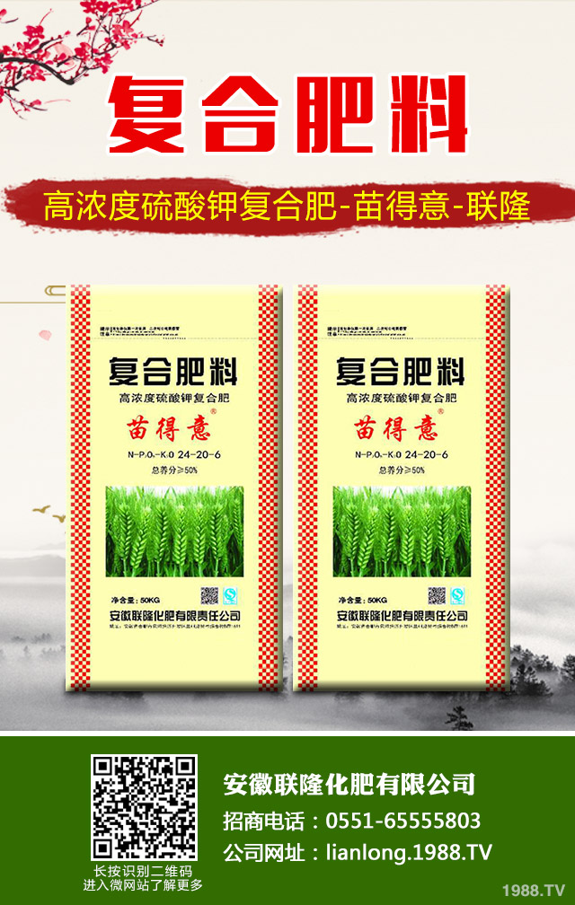 �K�F�~�S�݆��}��ô��Q���K�F�~�S�ݽ�Q����