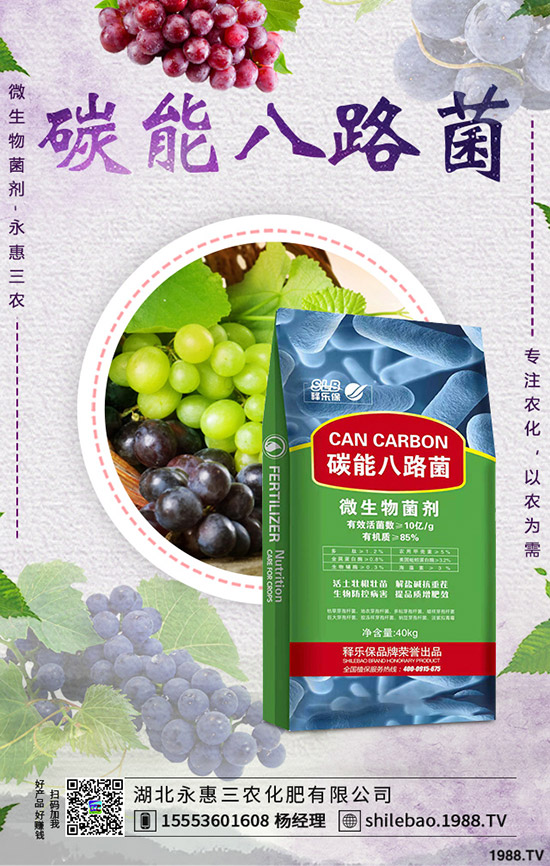     2019-9-7����⛷ʃr������ӑB(t��i)�u���������Xһ����