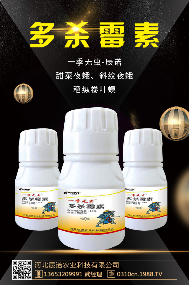 �軨�x�����ȥ�����軨�x�����μ���