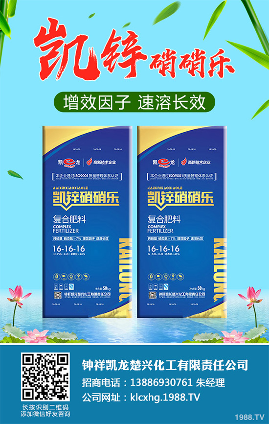     �n�ĺڰ߲�����ΰl(f��)����������ЩΣ�����n�ĺڰ߲����δ�ʩ