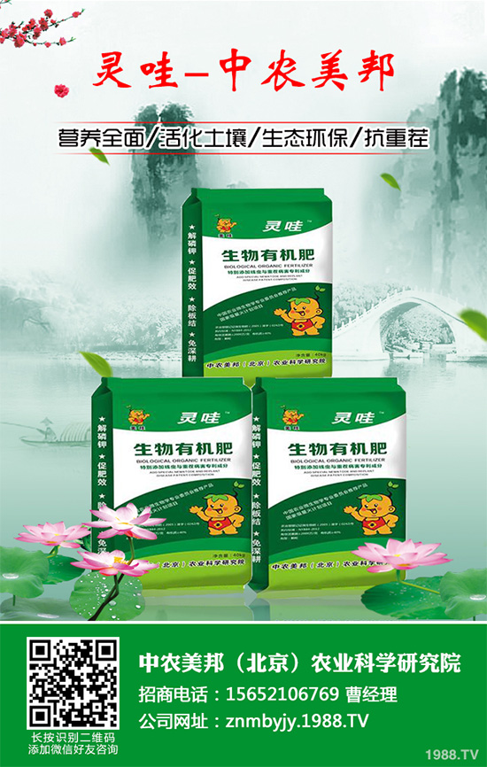     �n�ĺڰ߲�����ΰl(f��)����������ЩΣ�����n�ĺڰ߲����δ�ʩ