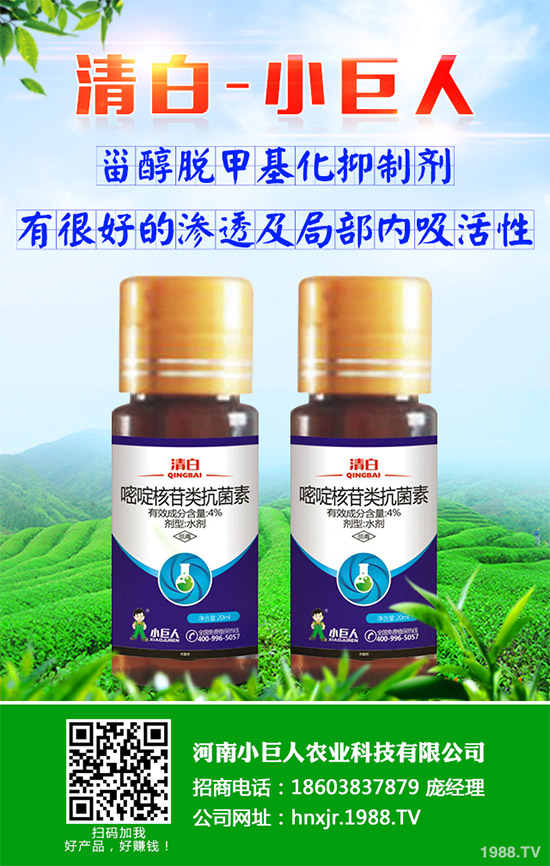 ϩ������