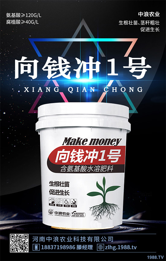 ¶�ؾ��Ĳ�ʲô�r(sh��)��Nֲ��¶�ؾ��Ĳ˷Nֲ���g(sh��)��ȫ