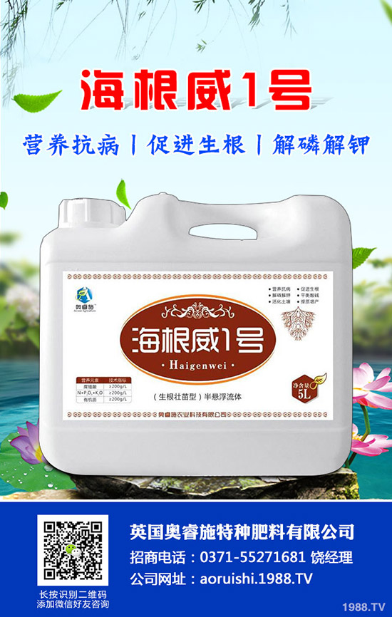 �����^����Щ��̎�����^�ĠI�B(y��ng)�r(ji��)ֵ��ʳ�ý�����