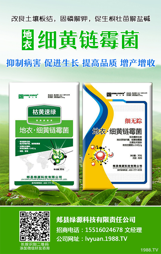 ���·Nʲô�߲˱��^����2019��9���߲˷Nֲָ��