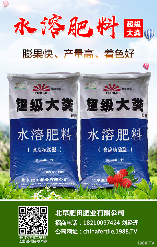 ��ݮ���˼t������������ô�k����ݮ�t�����������R�e�����ͷ�����