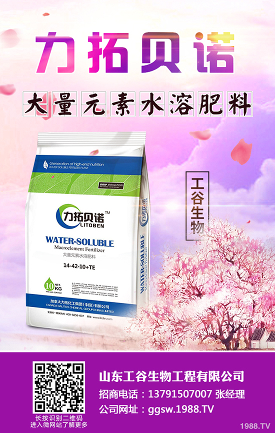     �������؃r(ji��)��������?q��ng)?b��o)����������I(y��)���S�����r(ji��)һ�[2019��9��9��