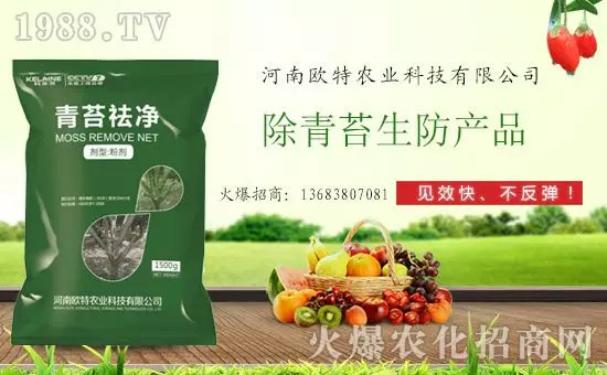 �������̦���������������Ƀ�����̦�oۙ��