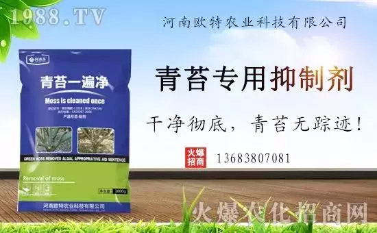 �������̦���������������Ƀ�����̦�oۙ��