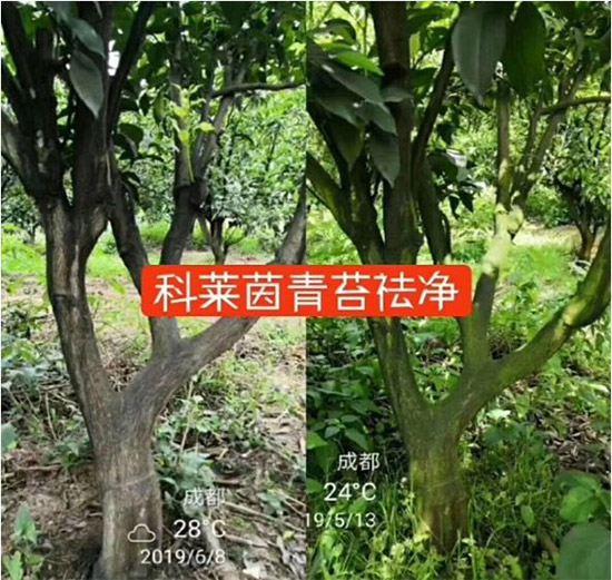 �������̦���������������Ƀ�����̦�oۙ��