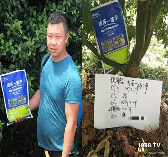 �������̦���������������Ƀ�����̦�oۙ��