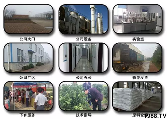 �������̦���������������Ƀ�����̦�oۙ��