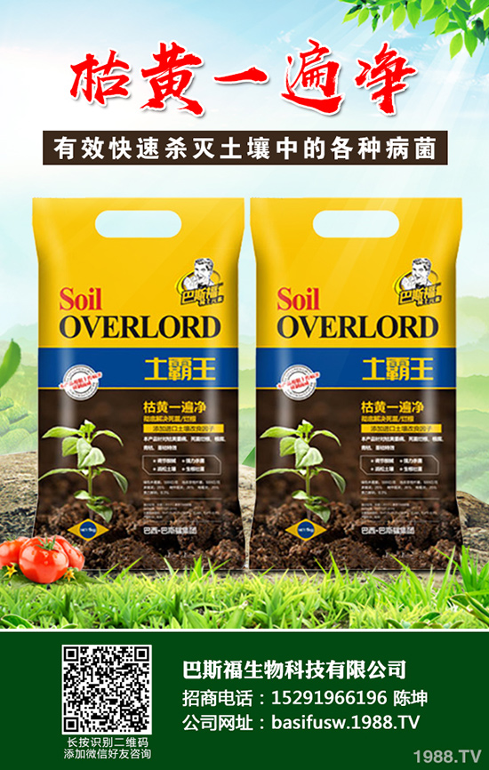 ���Sԓ��ηNֲ�����S�ĸ�Ч���༼�g(sh��)����Щ��