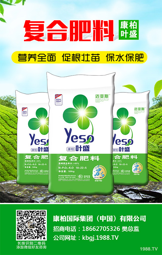 �۲˰߿ݲ�����ЩΣ���Y�����۲˰߿ݲ���Σ��������