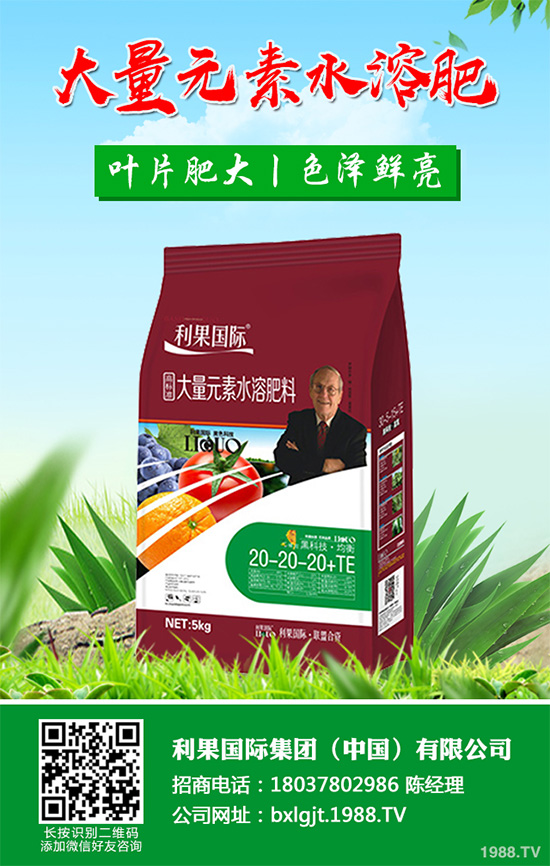     �۲˰߿ݲ�����ЩΣ���Y�����۲˰߿ݲ���Σ��������