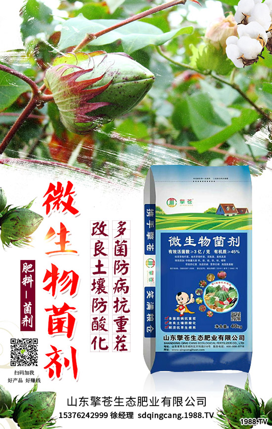     ����(ji��)���R��2020��1�������ܷ�ͦ�r(ji��)�����������߄��A(y��)�y��