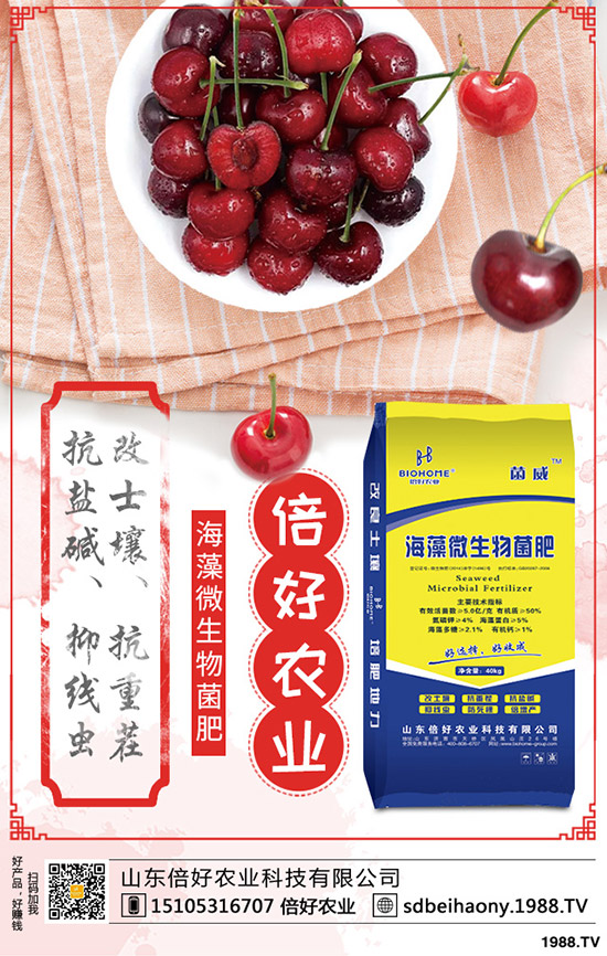     大顆粒尿素價格大漲！2020-1-15今日各地最新尿素報價是多少？