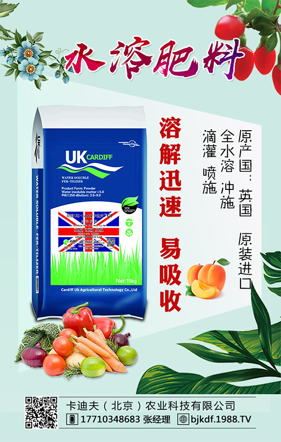 �S����Ҫ��ô�Nֲ���S���ˌ�(du��)�h(hu��n)���l����Ҫ����