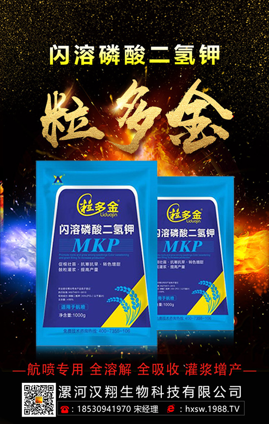 ������ηNֲ�θ߮a(ch��n)���������ӵĿƌW(xu��)�Nֲ������