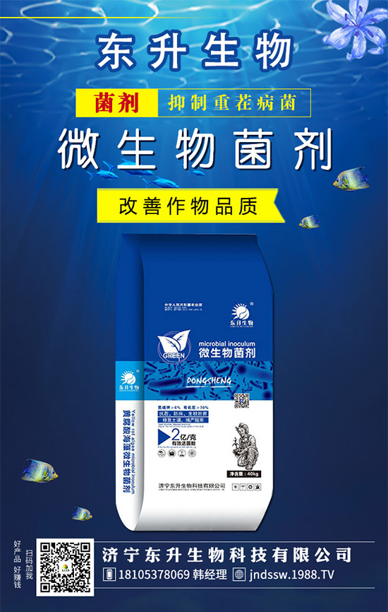 石榴樹什么時候嫁接好？石榴樹嫁接方法有哪些呢？