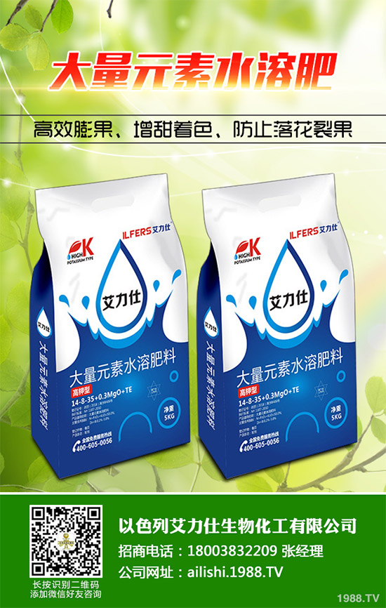 �۲˸���������ΰl(f��)������ԓ���ӷ��Σ������������