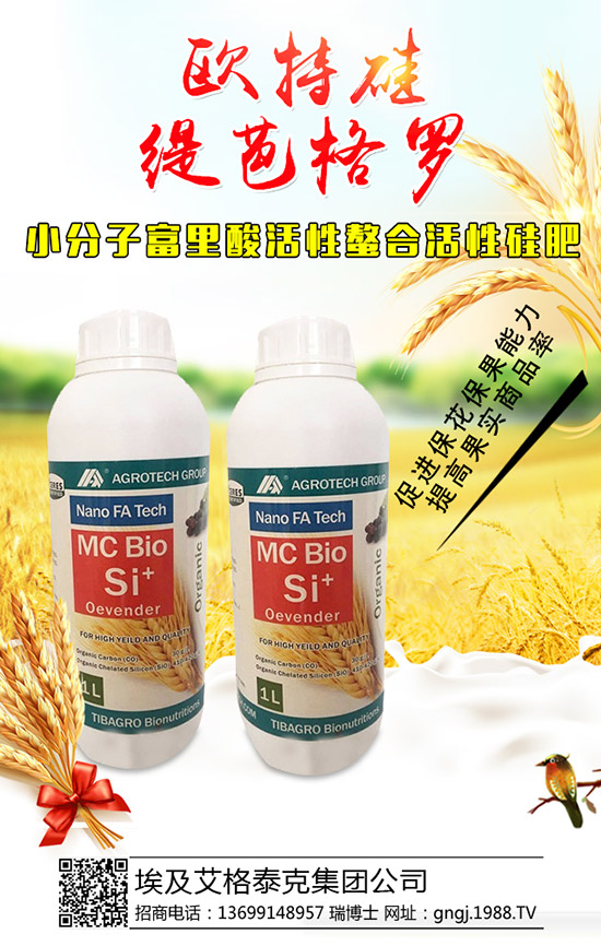 大棚辣椒結(jié)果少是怎么回事，怎樣提高辣椒坐果率？