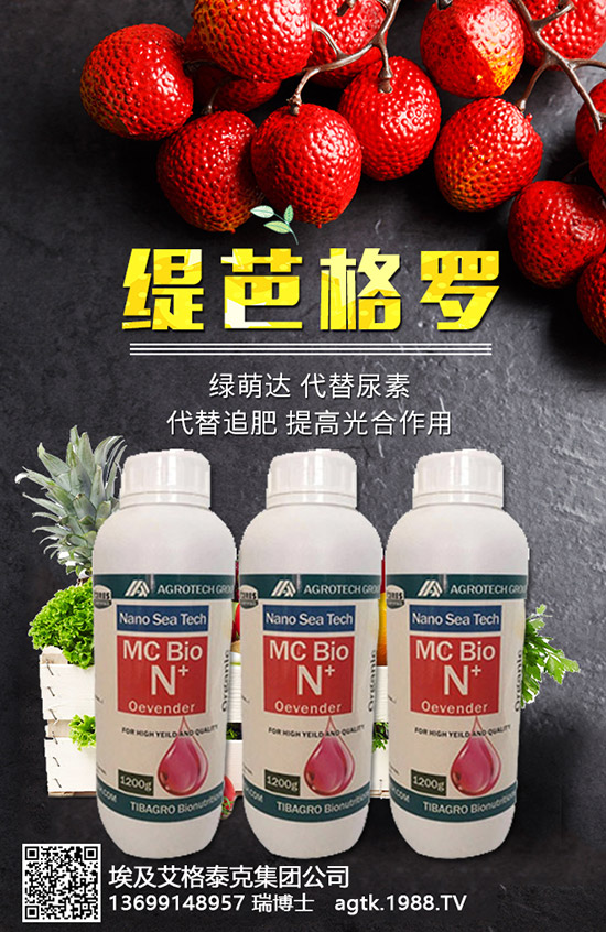 ���A�ĠI�B(y��ng)�rֵ����Щ����Ч�c��������Щ��������Щ��Ⱥʳ����