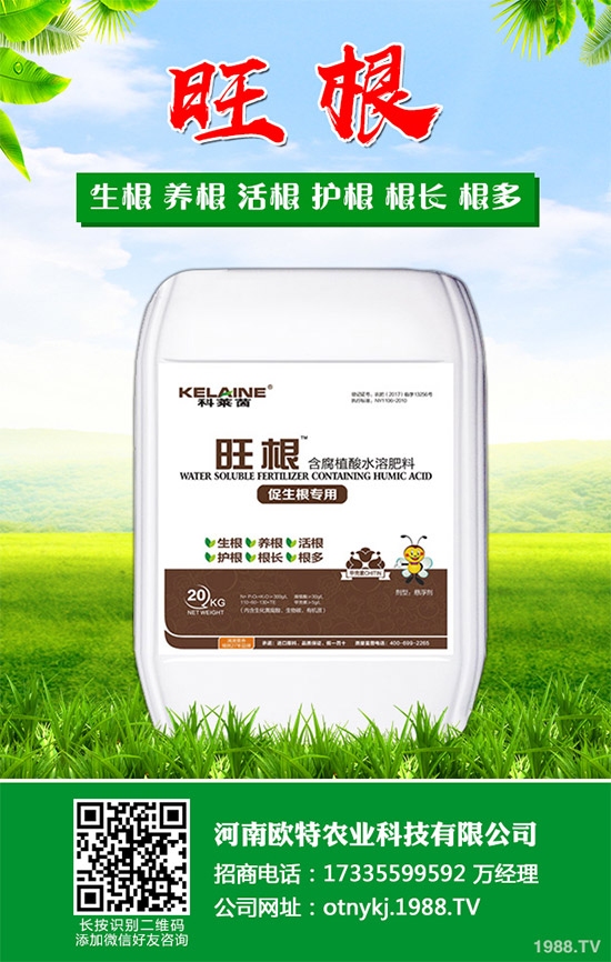 �t������Щ���湦Ч���t�ٵĹ�Ч���ü�������Ⱥ