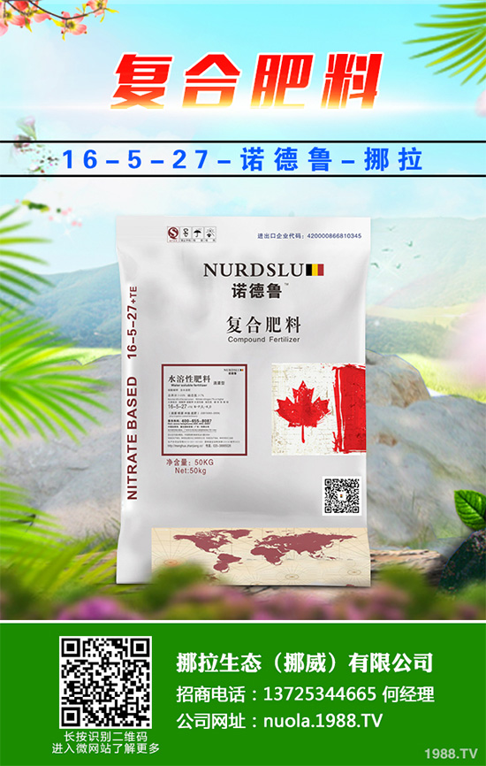 �Nֲʲôˮ����(hu��)ٍ�X(qi��n)��2020��ˮ���Nֲָ��