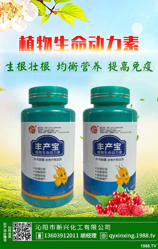 怎樣才能種好大白菜？大白菜高產(chǎn)種植技術(shù)要點(diǎn)