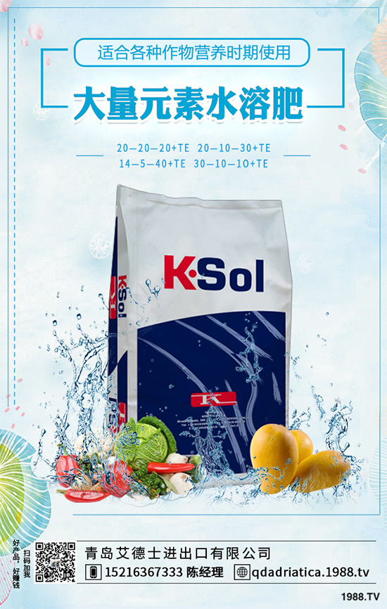 怎樣才能種好大白菜？大白菜高產(chǎn)種植技術(shù)要點(diǎn)