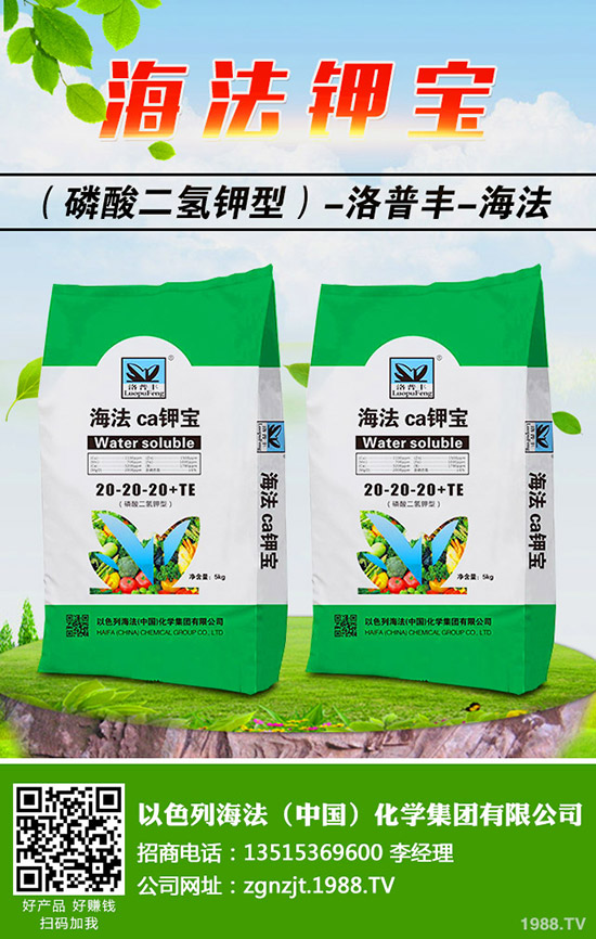 怎樣做好冬季梨樹修剪，梨樹冬季修剪的時間及方法！