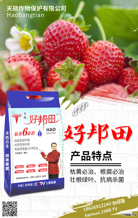 2020���r(n��ng)��Nֲʲôˮ��ٍ�X����Щ�N����Ʒ�N���^�ã�