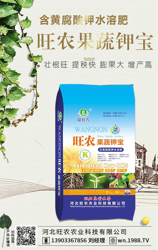 ���������L(zh��ng)��(x��)������Щ���������B(y��ng)�o(h��)Ҫ�c(di��n)��