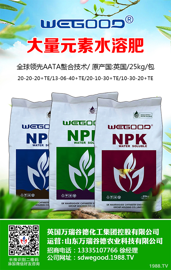 ¶������ʲô�r(sh��)��Nֲ��¶�������߮a(ch��n)�Nֲ���g(sh��)