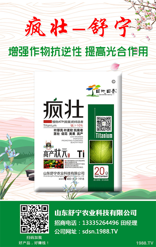 �Nֲ�㹽��ҪͶ��������㹽�Nֲ�ɱ���������