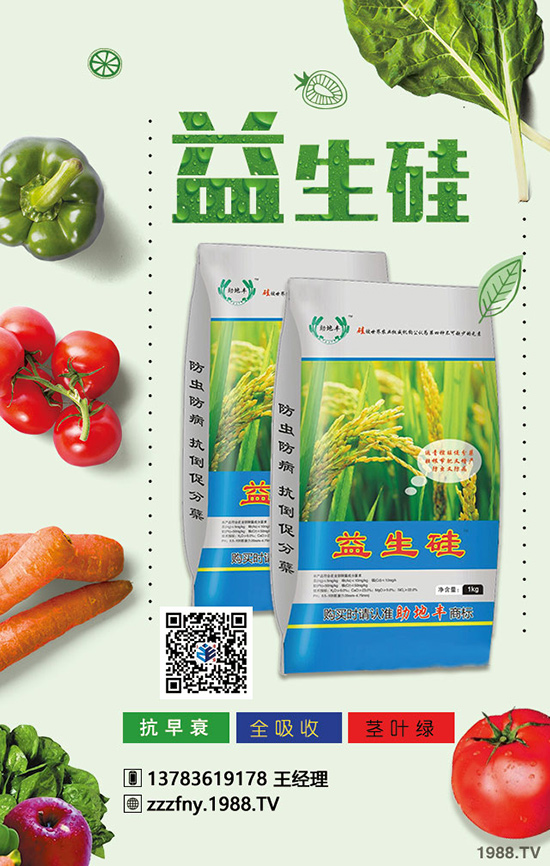 大蒜產(chǎn)量拔高，冬季施肥要注意四項！