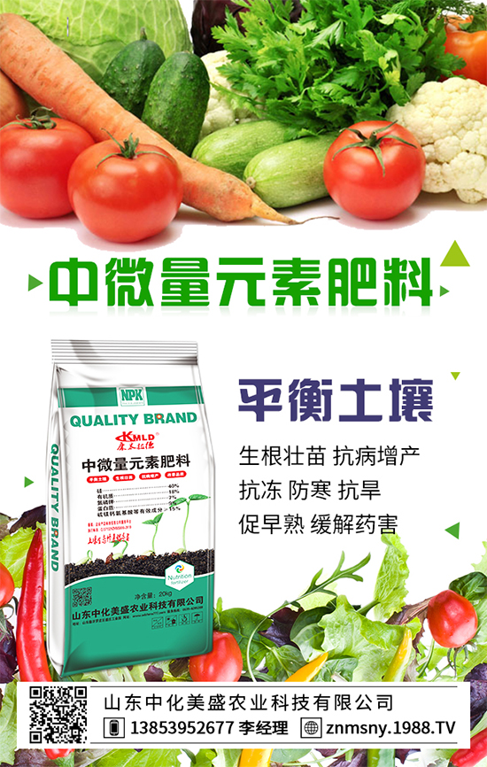 ������ݮ��ô����������ݮ������ʩ��