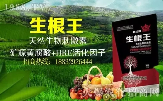 С���q�r�����e��r���^2500Ԫ/����