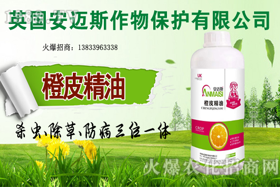 10�·Nֲ��Щ�߲˸����m�����g����Ҫ���cץ���Ď��c��