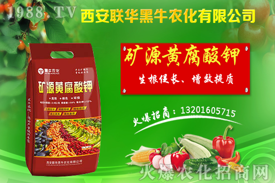 �＾����ԓ��ι������＾������푪(y��ng)������Ĵ��`�^(q��)��