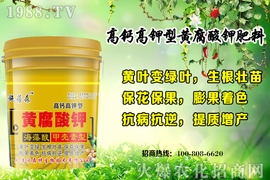 ��ݮ���L��(du��)�h(hu��n)��Ҫ������Щ���＾��ݮ��ֲע�����(xi��ng)�͹�����ʽ��